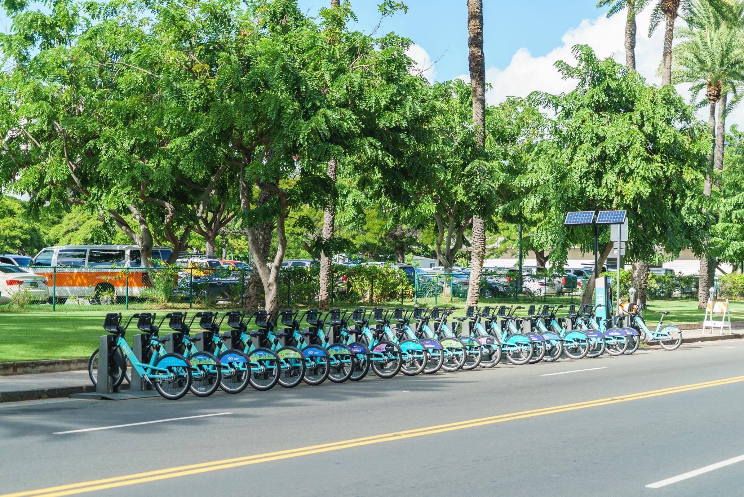 A row of turquoise bicycles parked along a street lined with palm trees and a green fence.