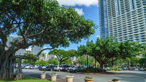 Un estacionamiento con varios coches, un árbol grande y un edificio alto al fondo.