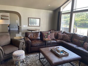 Smart TV, fireplace, DVD player, video library