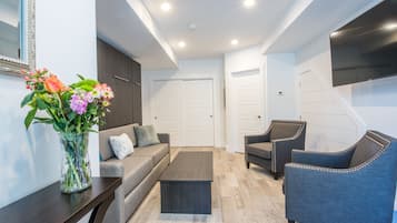 Smart TV, fireplace, books, stereo