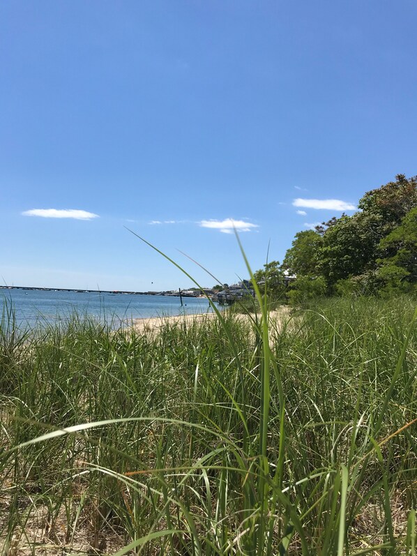 Camastros y toallas de playa