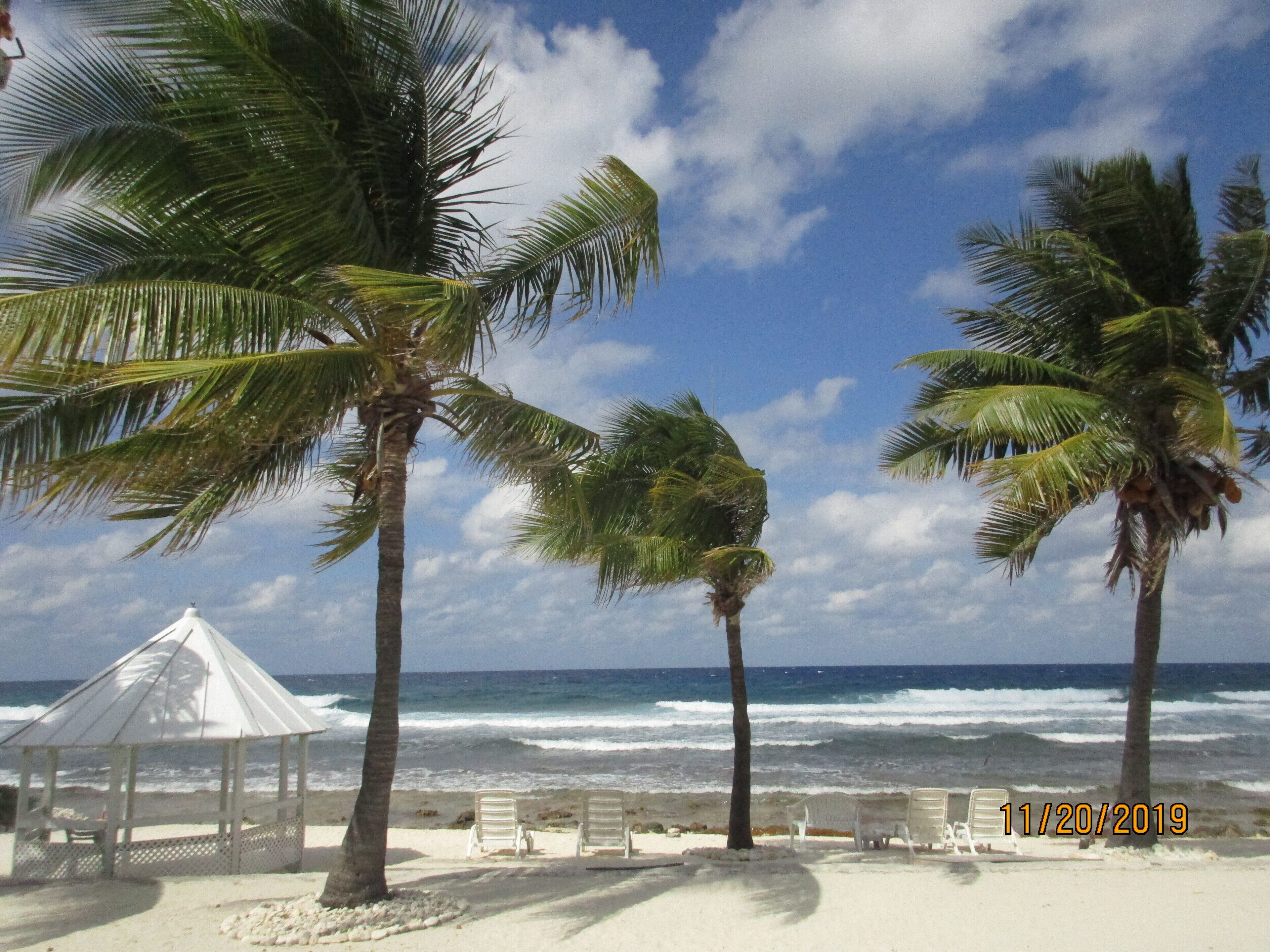 على الشاطئ، كراسي للتشمس