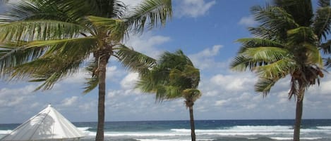 On the beach, sun loungers