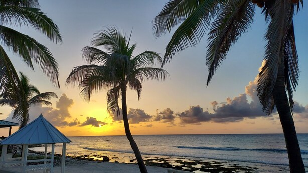 A beach scene with palm trees, a gazebo, and the ocean at sunset. - PLEASE COME AND RELAX ON OUR PRIVATE BEACH! (Cayman Brac)