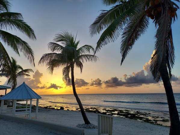 On the beach, sun loungers - PLEASE COME AND RELAX ON OUR PRIVATE BEACH! (Cayman Brac)