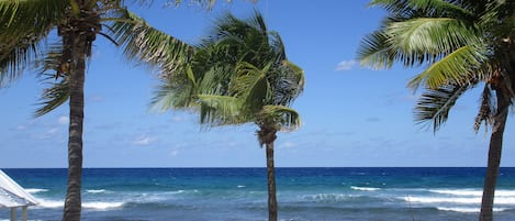 En la playa y camastros