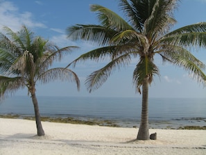 Plage, chaises longues
