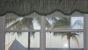 A window with a view of the ocean and palm trees, a date stamp of 11/22/2019, and a vase with flowers on the windowsill. - PLEASE COME AND RELAX ON OUR PRIVATE BEACH! (Cayman Brac)