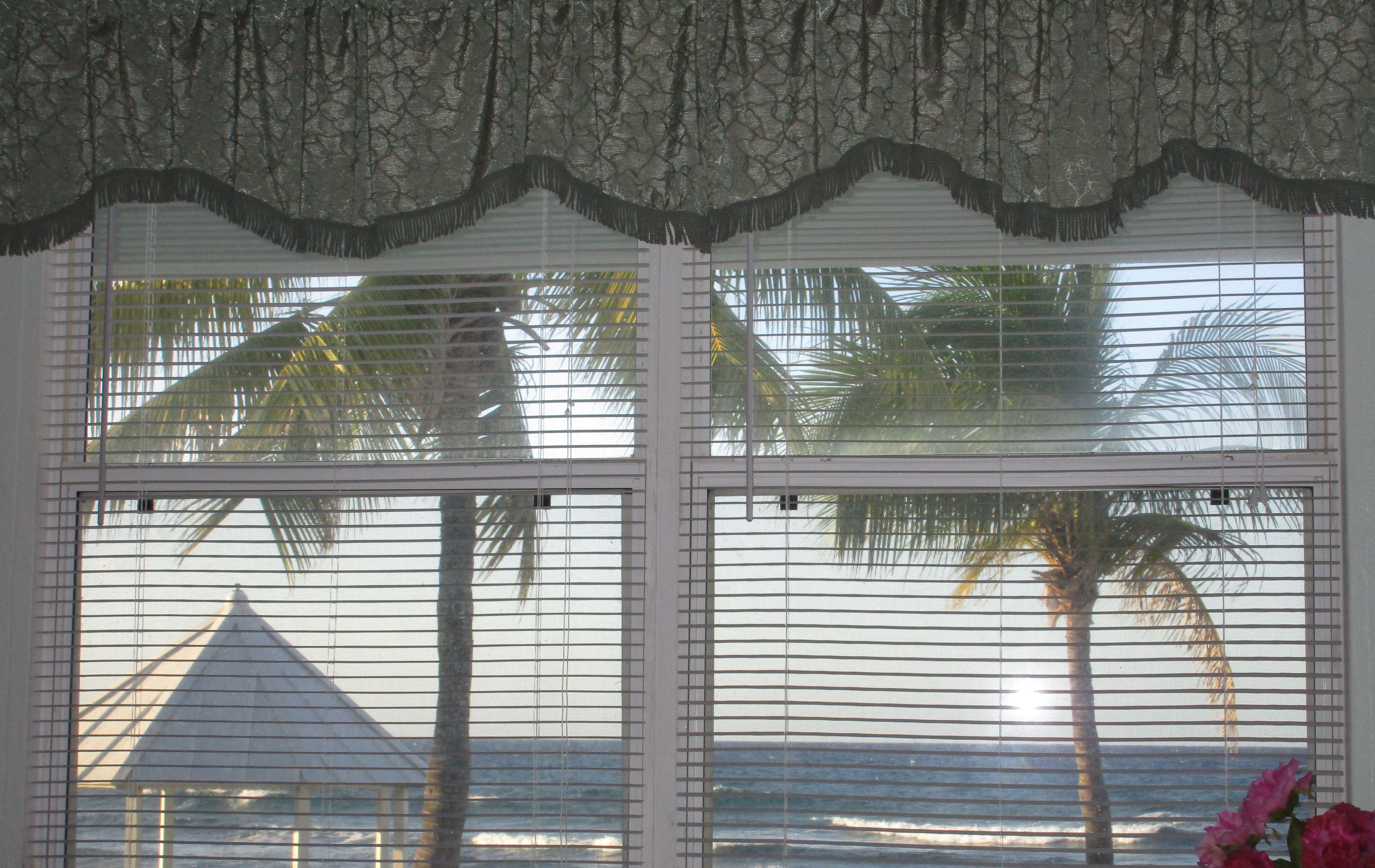 Ein Fenster mit Blick auf den Ozean und Palmen, ein Zeitstempel vom 22.11.2019 sowie eine Vase mit Blumen auf dem Fensterbrett.