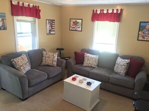TV, fireplace, DVD player, books