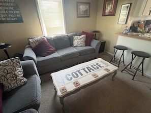 TV, fireplace, DVD player, books