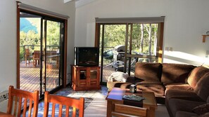 TV, fireplace, DVD player, books