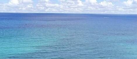Plage à proximité, chaises longues, serviettes de plage