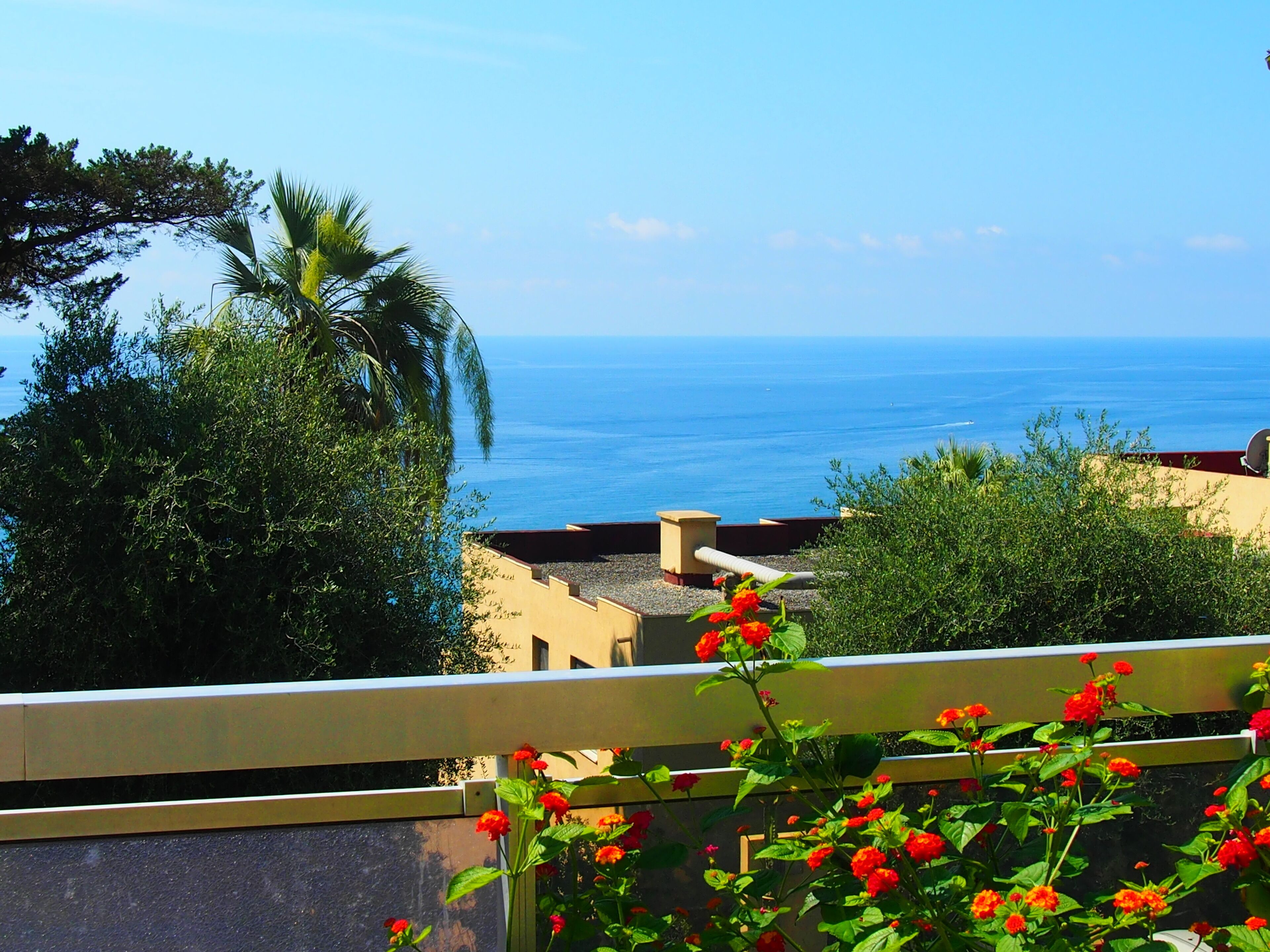 The Terraces of the Sea