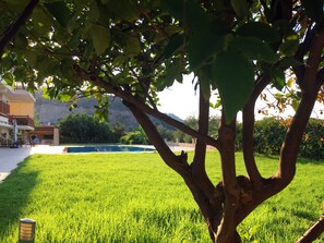 Jardines del alojamiento