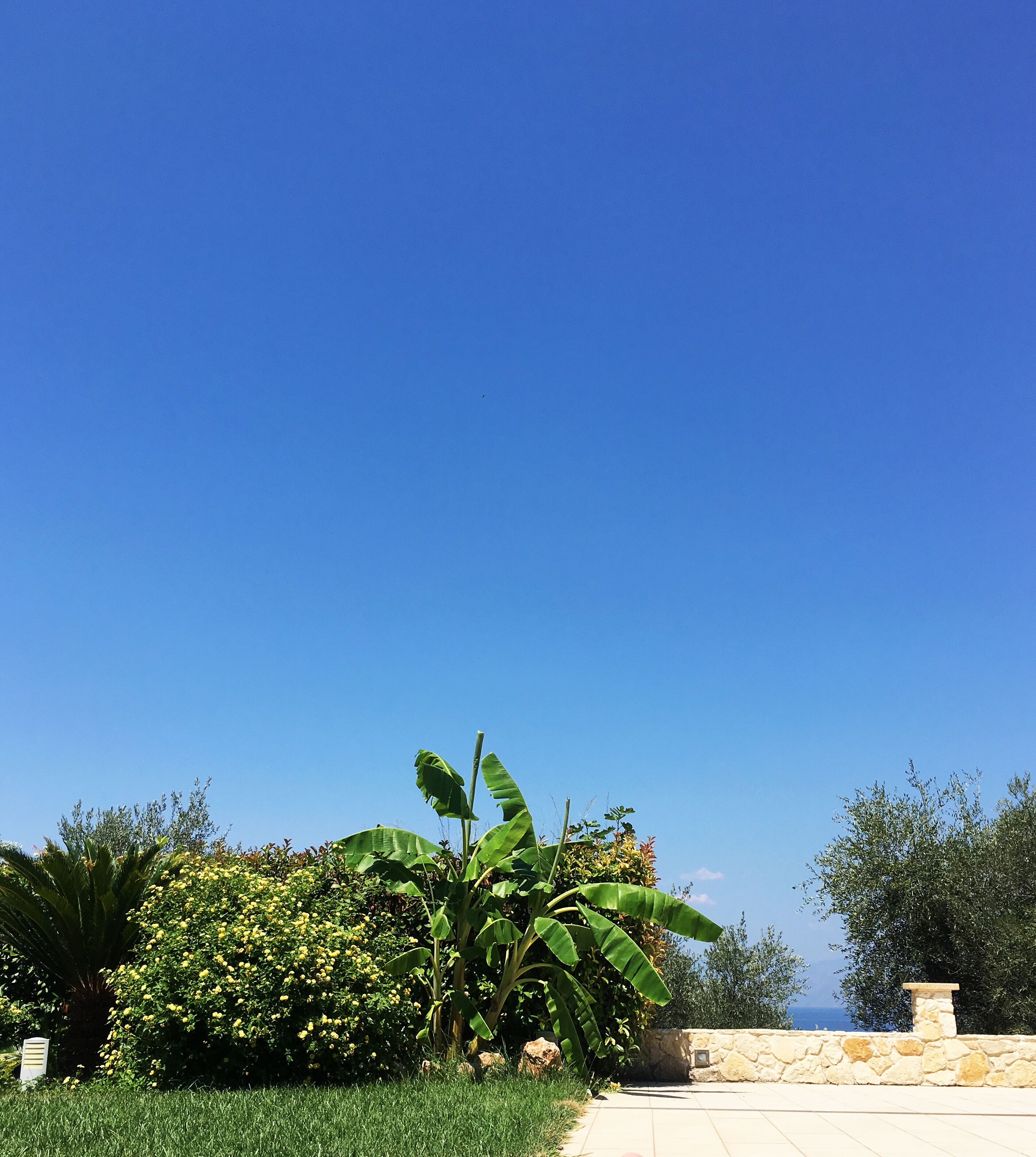 Àrea exterior de l'allotjament