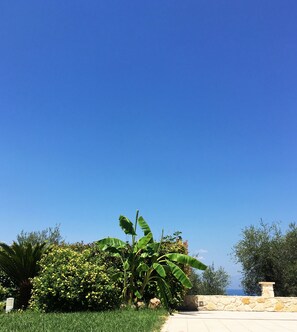 Property grounds - Luxury Private Villa With Large Pool And Amazing Views (Corinth)