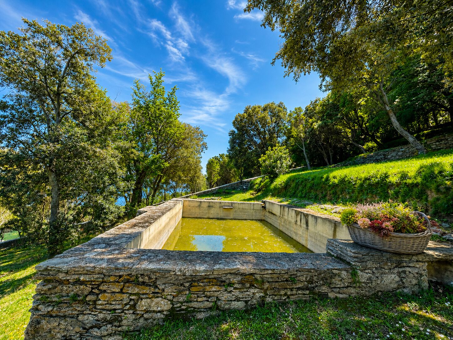 Un bassin bordé de pierres, avec un muret en pierre, situé dans un parc verdoyant et luxuriant.