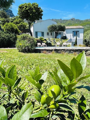 Une villa blanche dotée d’une piscine en pierre et d’un espace salon extérieur, entourée d’une végétation luxuriante et de montagnes.