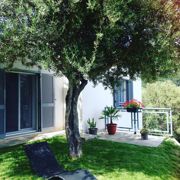 Une maison avec un arbre dans le jardin, une plante en pot et un fauteuil de jardin noir.