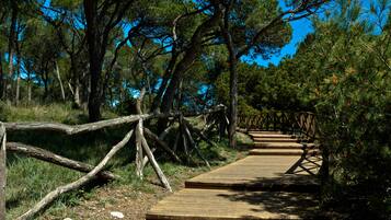 Jardines del alojamiento