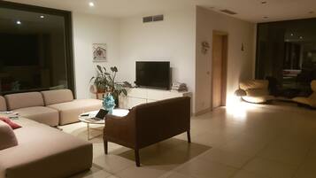 Televisie, een dvd-speler, tafelvoetbal en een stereo