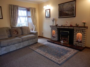 Una televisión, un reproductor de DVD, libros