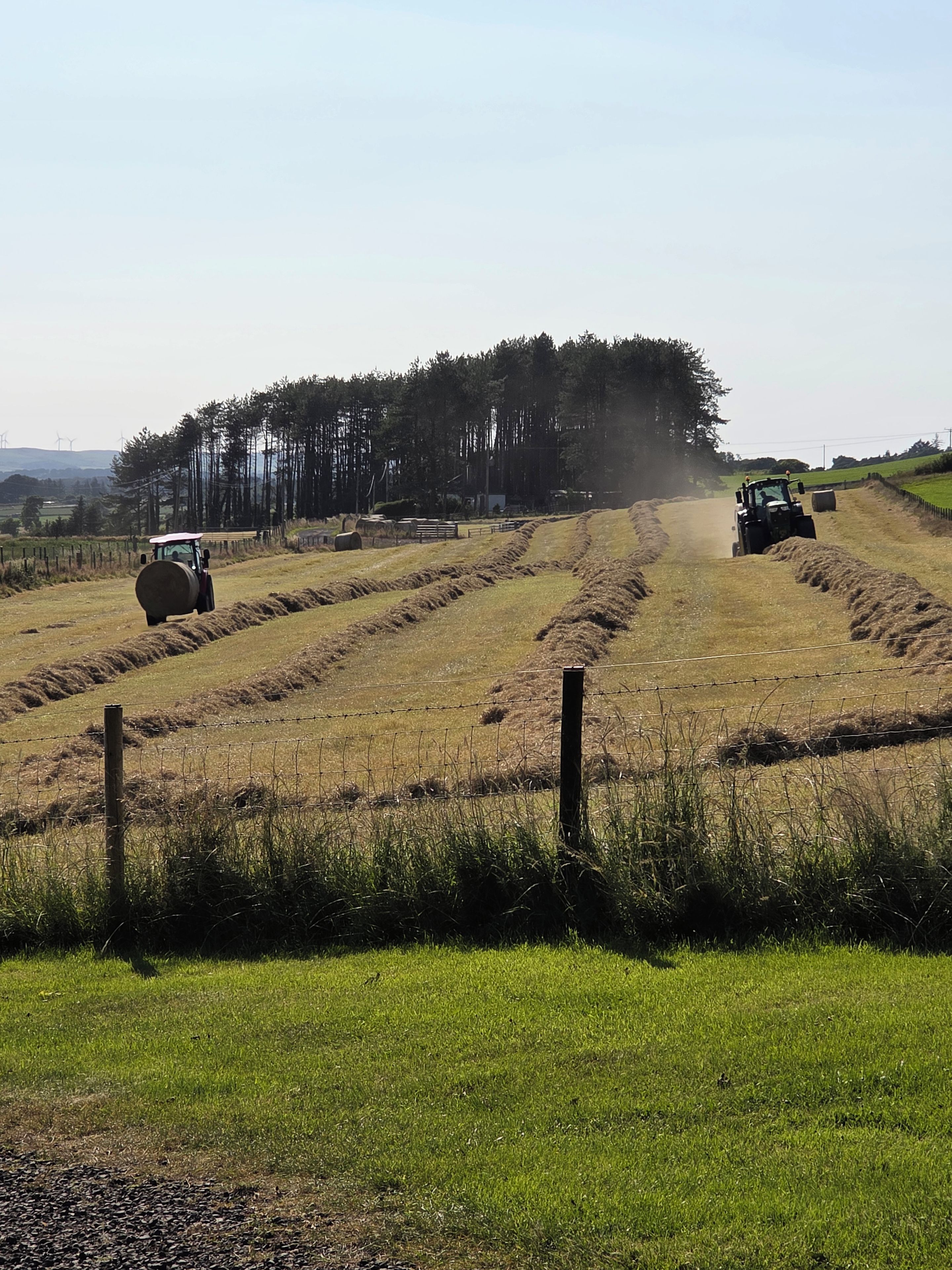 Paisaje rural con un tractor, fardos de heno, una cerca y una fila de árboles al fondo.