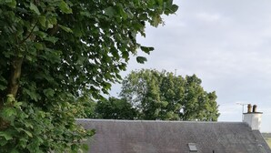 Ein weißes Gebäude mit zahlreichen Fenstern und einem grauen Dach, umgeben von üppiger Vegetation und violetten Blüten.