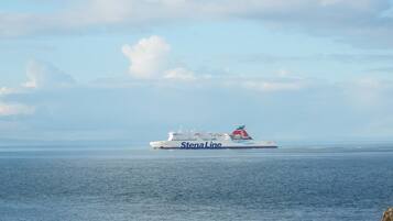A large cruise ship named Stena Line sailing on the ocean.