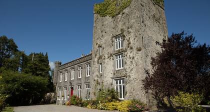 Irlannin Castle in Tipperary, IE - viehättävä maalaismaisemissa