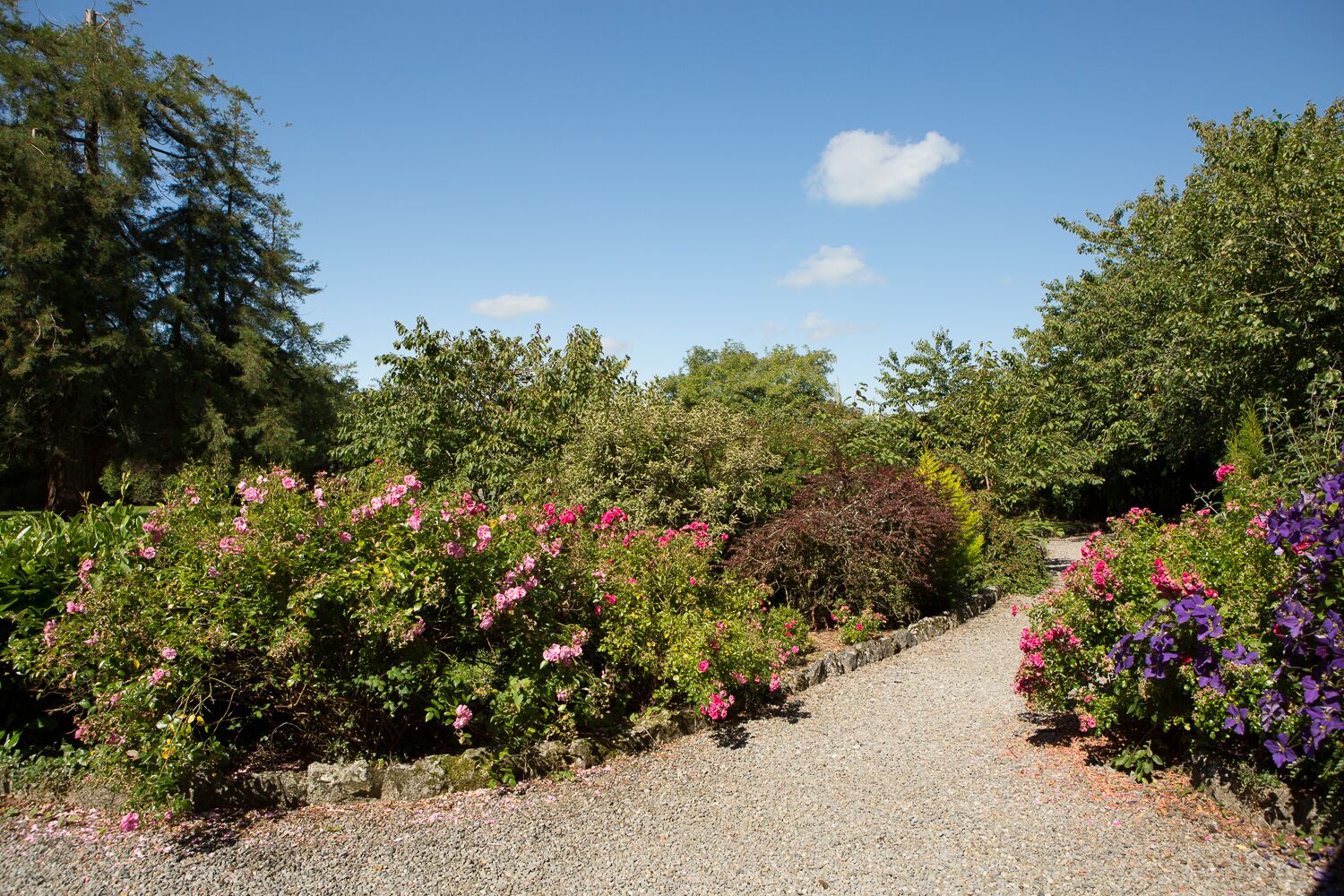 Overnatningsstedets område