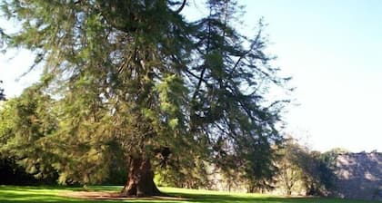 Irish Castle in Tipperary, IE - malerischen lÀndlichen Umgebung