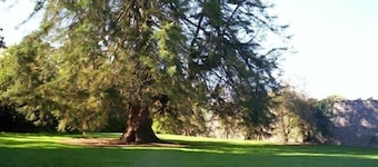 Irlannin Castle in Tipperary, IE - viehättävä maalaismaisemissa