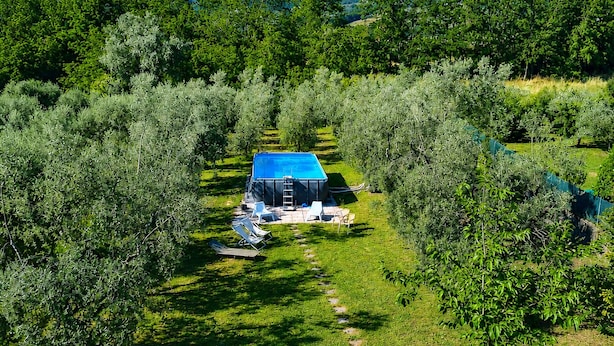 A pool area with a blue roof, surrounded by olive trees, and a mountain backdrop. - Big panoramic house in the Lucca hills. Pool, garden, WiFi, Aircon (Capannori)