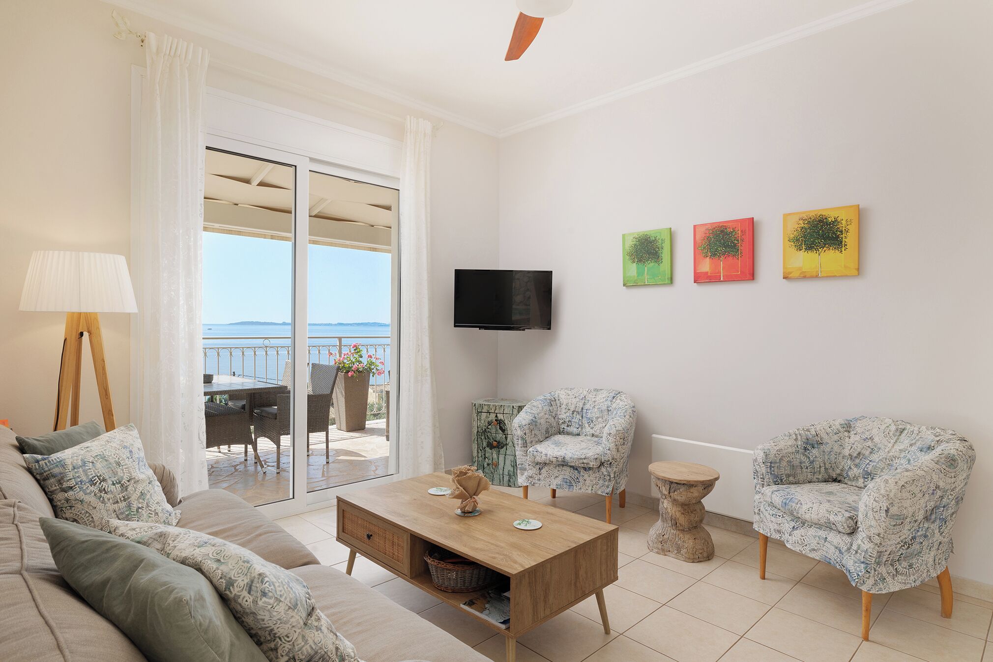 Smart TV, DVD player, books, music library