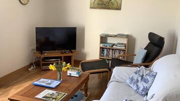 TV, DVD player, books, video library