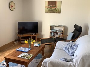 Télévision, lecteur de DVD, livres, vidéothèque