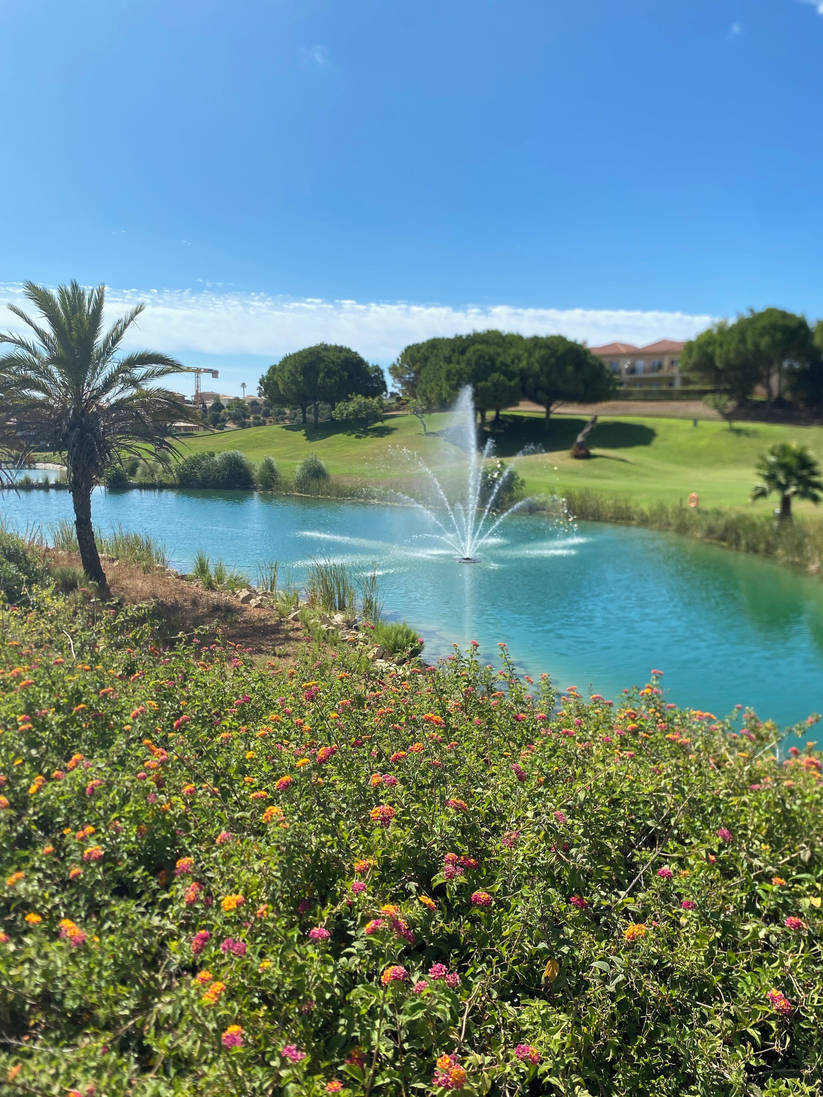 Ein friedlicher Teich mit einer Fontäne, umgeben von üppigem Grün und bunten Blumen.