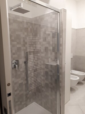 Regadera, secadora de cabello, bidet, toallas 
