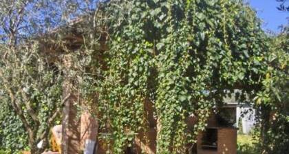 Marina di Ascea: Apartment in Villa dei Limoni – Marina di Ascea