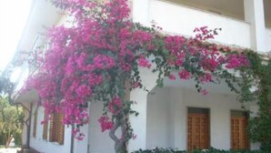 A building with a white facade, wooden shutters, and pink bougainvillea vines.