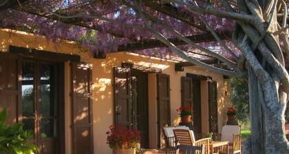 Bed & Breakfast Sa Ingia