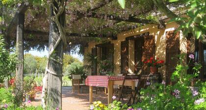 Bed & Breakfast Sa Ingia