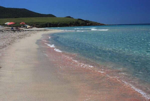 Plage à proximité