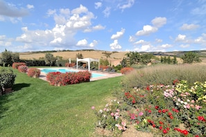 Outdoor pool - Whole big Tuscan Villa with Pool & Vineyards in the Heart of Tuscany (Pienza)