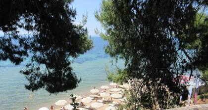 Very nice studio 80m from the beach