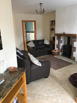 Flat-screen TV, fireplace, DVD player, books