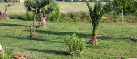 Terrein van de accommodatie