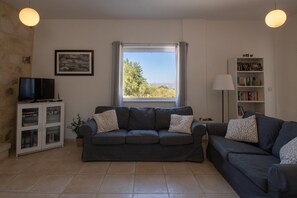Smart TV, fireplace, DVD player, books